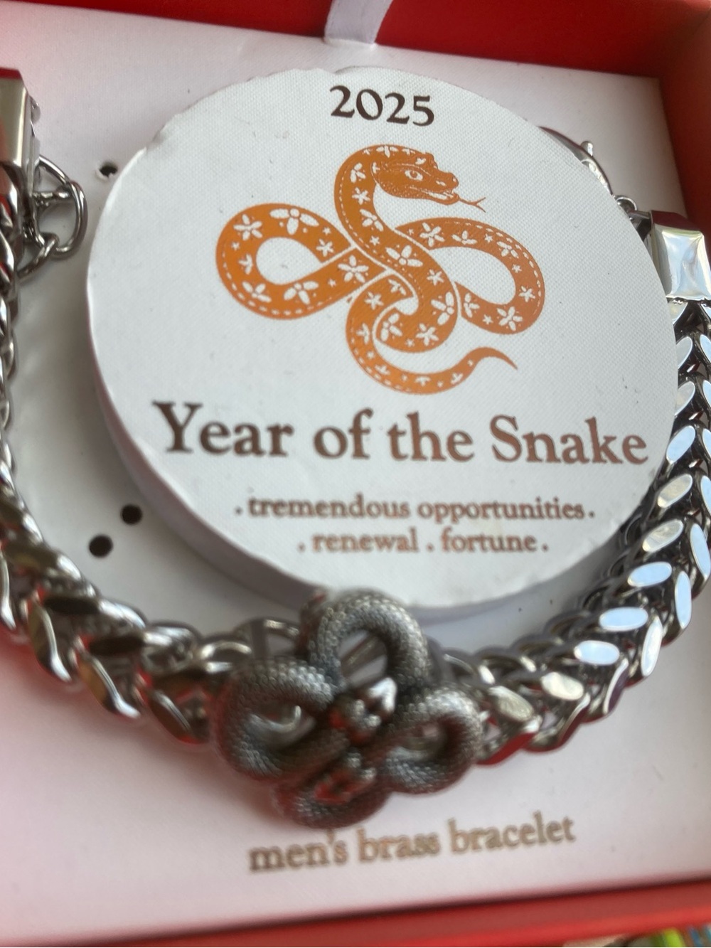Year of the Snake Men's Brass Bracelet - Silver Tone